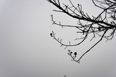 Similar image 22745758