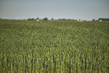 Similar image 22743284