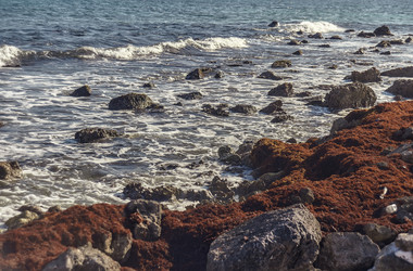 Similar image 22745908