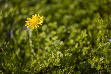Similar image 22746044