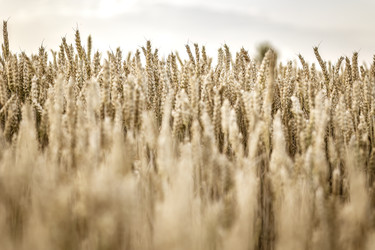 Similar image 22743287