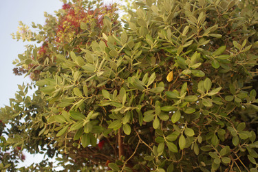 Similar image 22745218