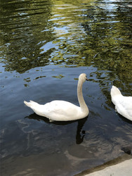 Similar image 22718092