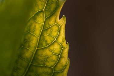 Similar image 22745837