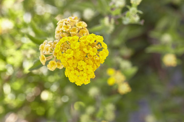 Similar image 22746105