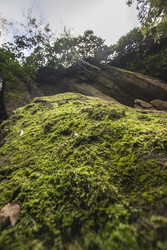 Similar image 22746205