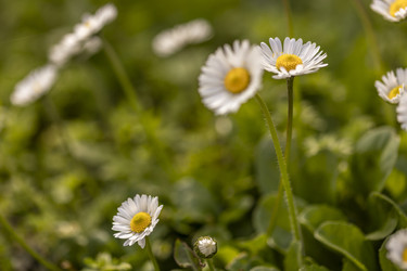 Similar image 22741773