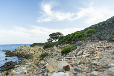 Similar image 22743544
