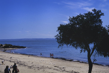 Similar image 22745462