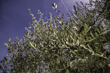 Similar image 22741762