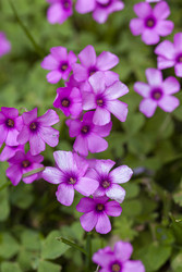 Similar image 22741764