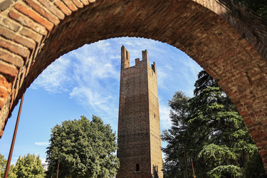 Similar image 22743328