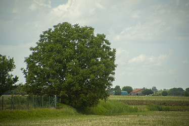 Similar image 22745041