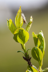 Similar image 22745340