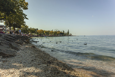Similar image 22745432