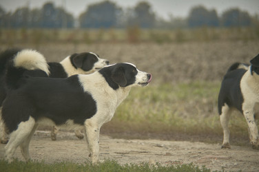 Similar image 22745566