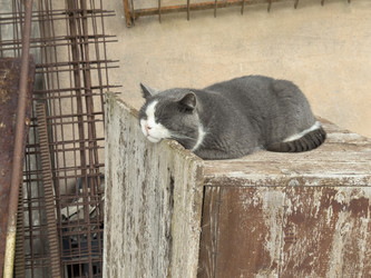 Similar image 22745628