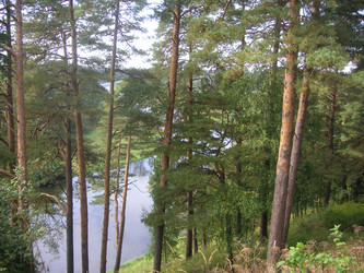 Similar image 22660061