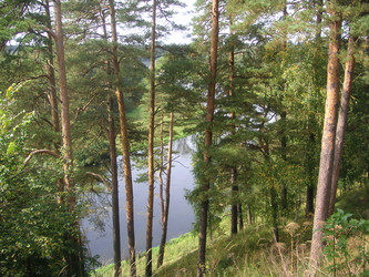 Similar image 22660062