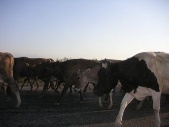 Similar image 22660064