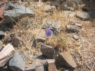 Similar image 22660065