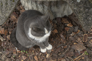 Similar image 22745913