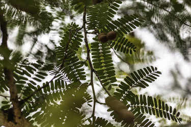 Similar image 22745508