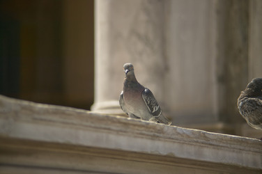 Similar image 22745838