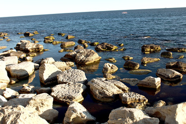 Similar image 22653231