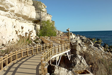 Similar image 22653234