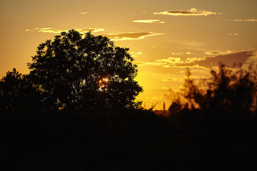 Similar image 22745883