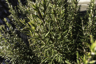 Similar image 22746021