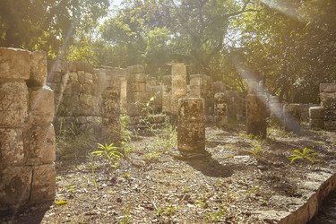 Similar image 22741513