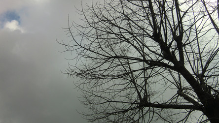 Similar image 22741822