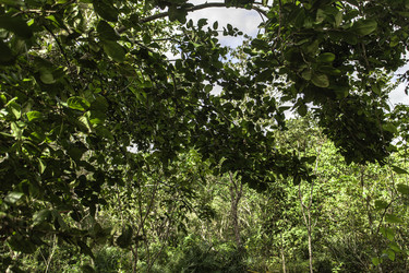 Similar image 22741823