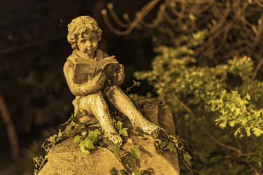 Similar image 22743547