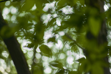 Similar image 22745073