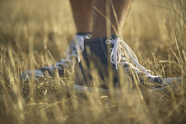 Similar image 22745569