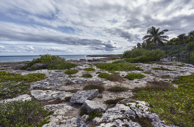 Similar image 22745584