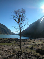 Similar image 22746051
