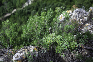 Similar image 22746125