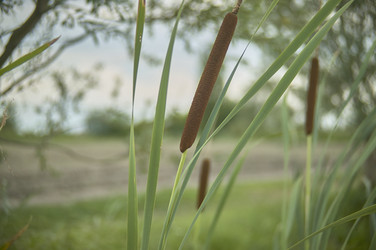 Similar image 22745074