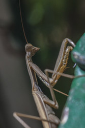 Similar image 22745332