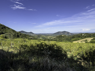 Similar image 22745497
