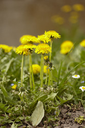Similar image 22745661