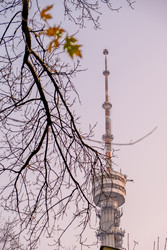 Similar image 22650732