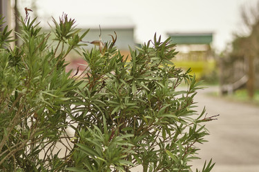 Similar image 22746113