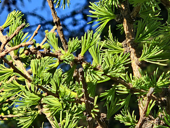 Similar image 22650693