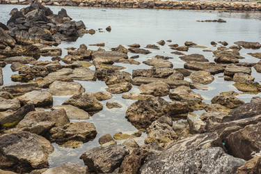 Similar image 22745483