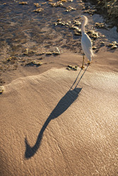 Similar image 22745677